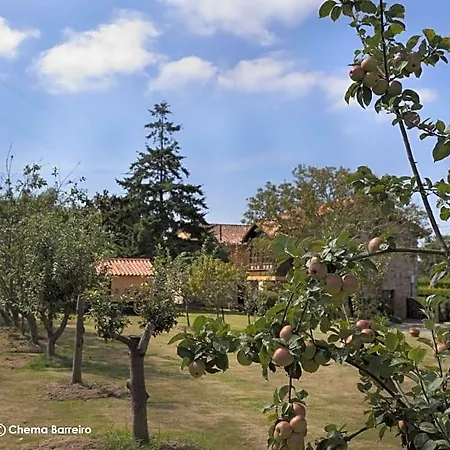 酒店 La Casona De Quintes